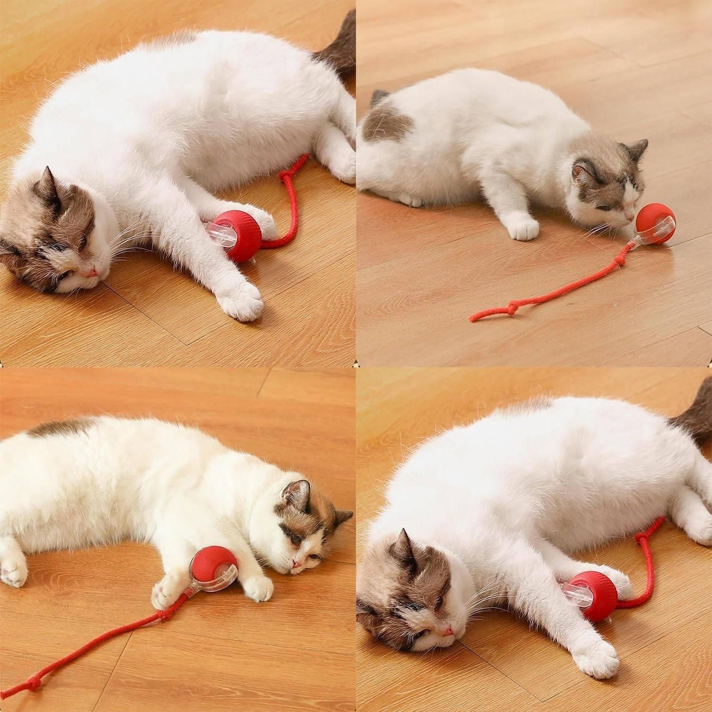 UrbanDeals™ Viral Rolling Ball Pet Toy