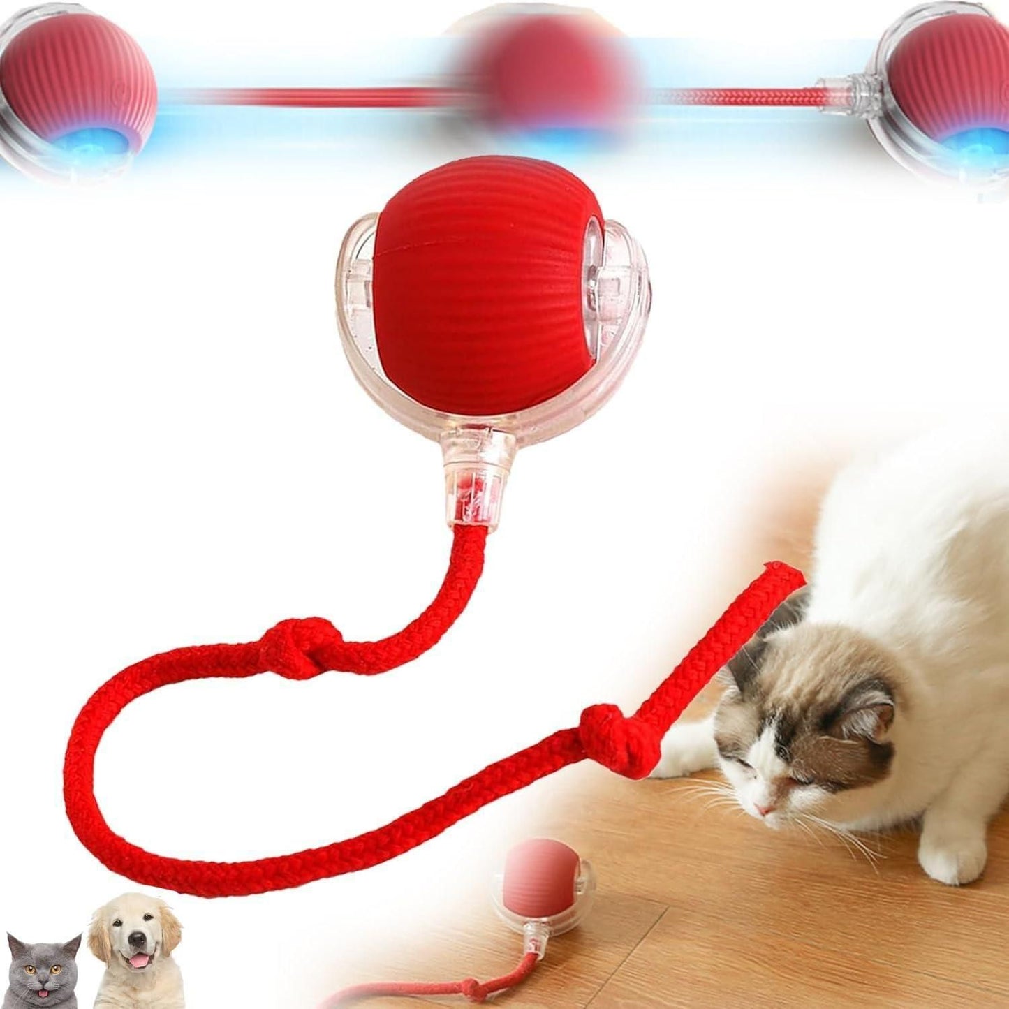 UrbanDeals™ Viral Rolling Ball Pet Toy
